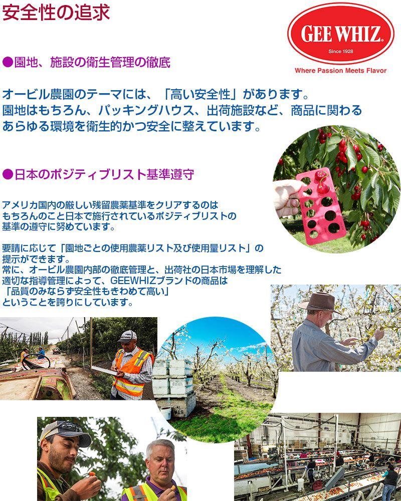 ワシントン州産 レイニアチェリー