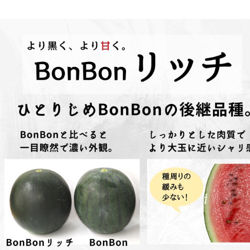 すいか 黒小玉すいか ひとりじめBonBonリッチ 2玉 4Lサイズ 熊本