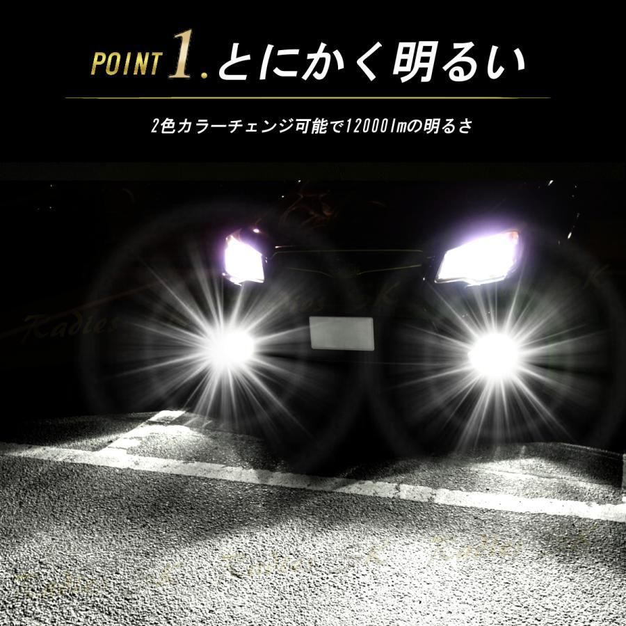 フォグランプ