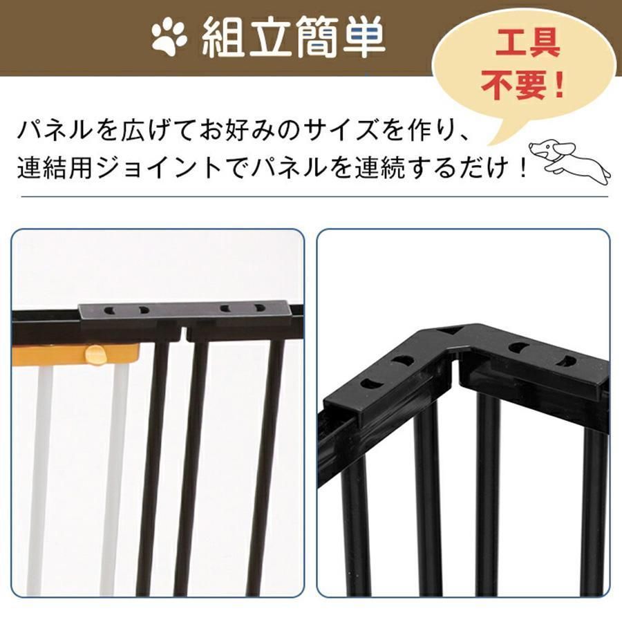 犬
