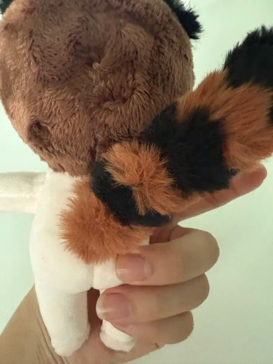 SEVENTEEN　スングァン ぬいぐるみ 15cm ブソムグァン SEVENTEEN(セブンティーン・セブチ) スングァン(SEUNGKWAN) 人形