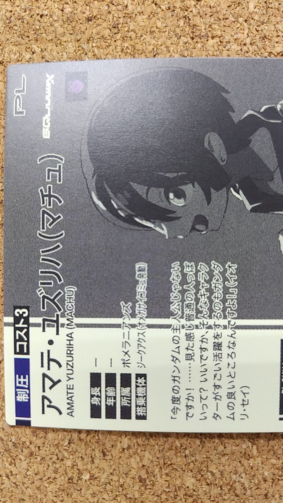 〇アマテ ユズリハ