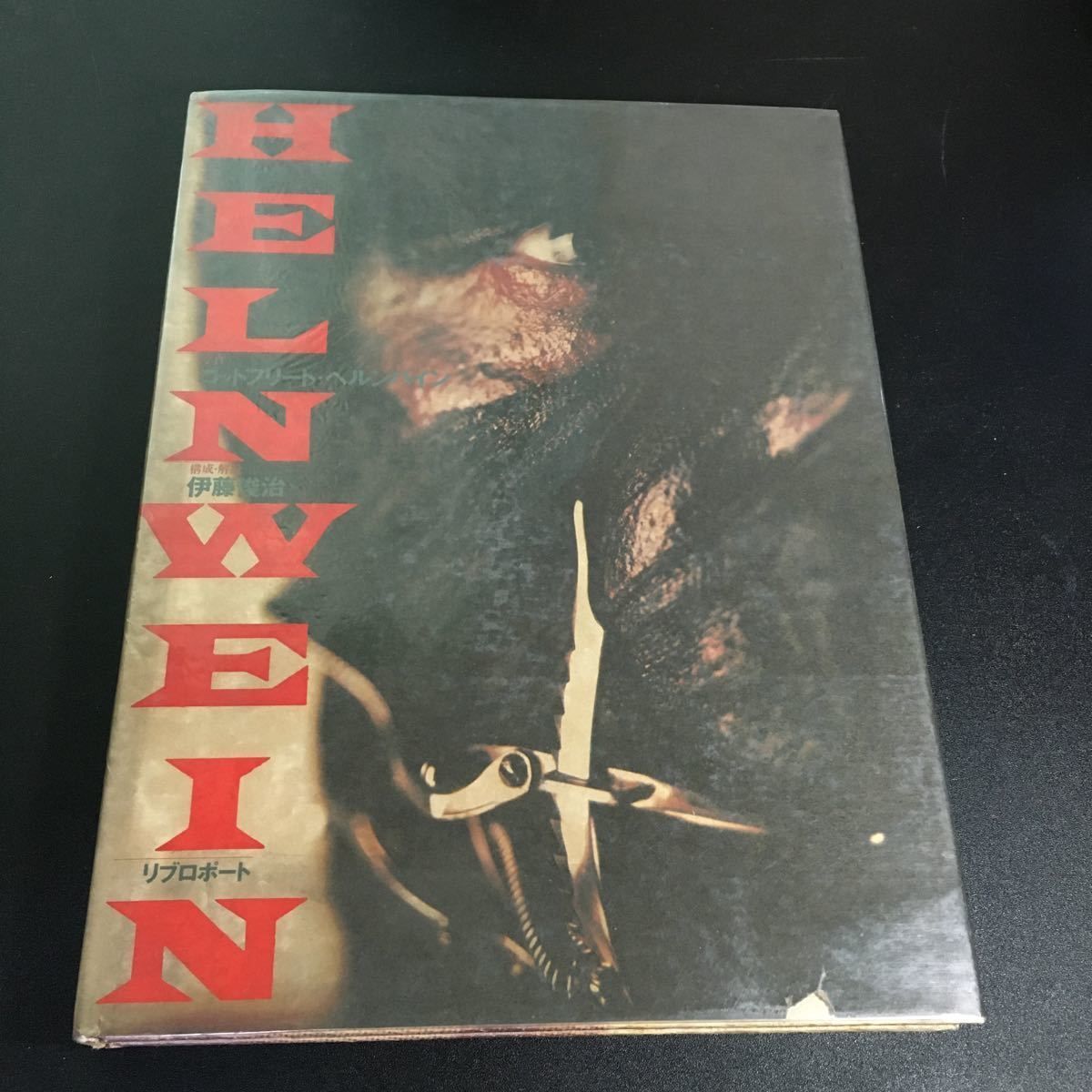 ヘルンバイン 』 ゴットフリート・ヘルンバイン写真集 伊藤俊治【構成