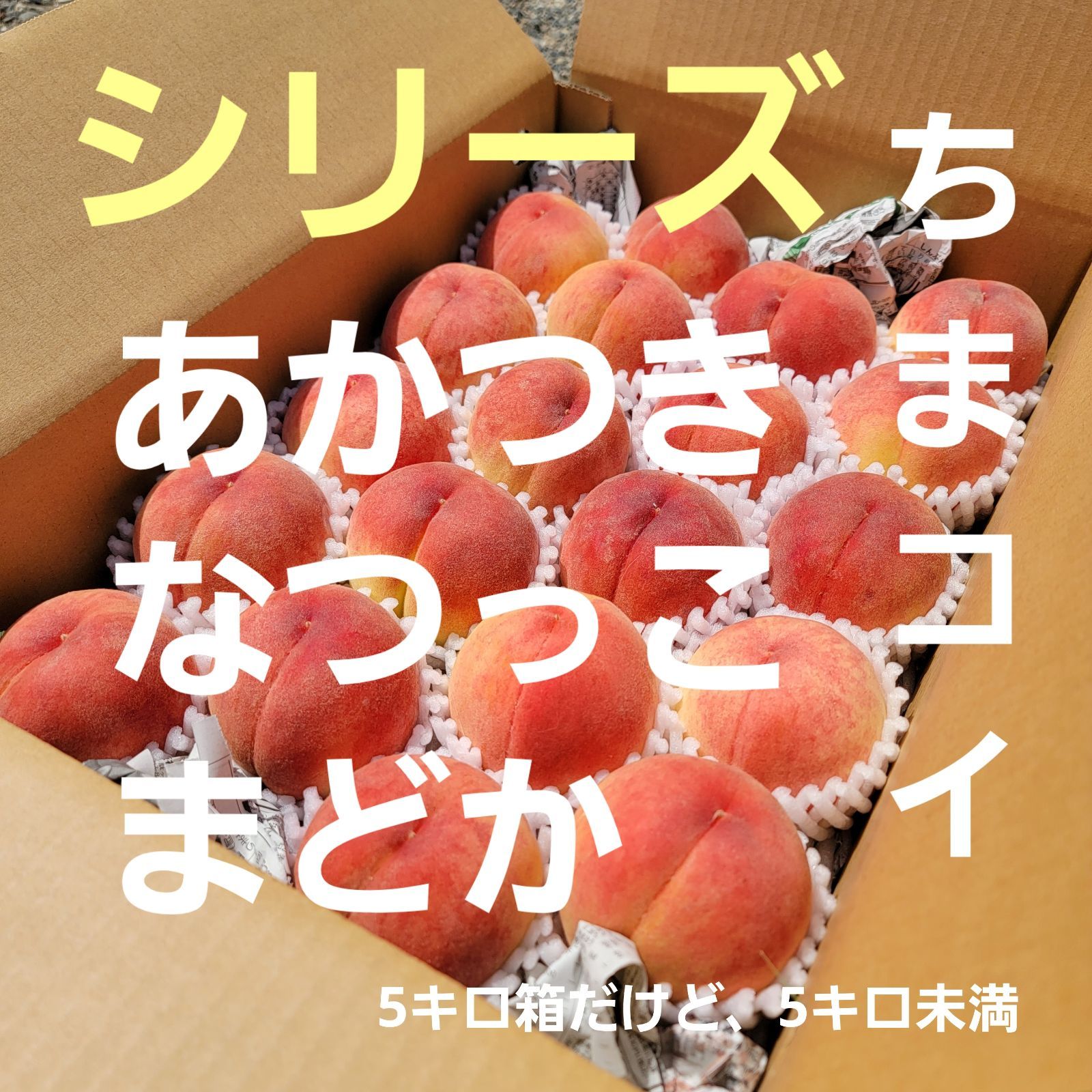 のサムネイル