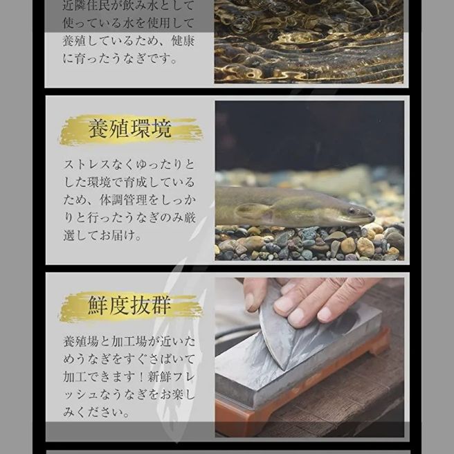 鰻15枚セット