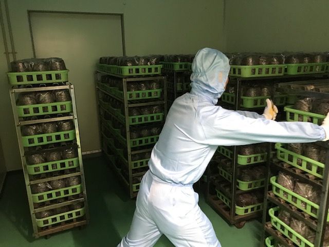 10点 常温便発送
