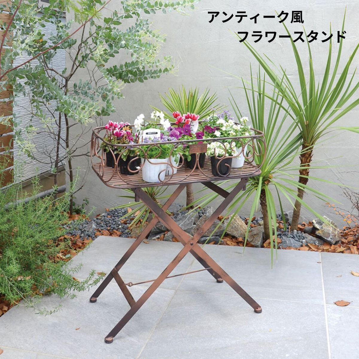 植物棚　シェルフ　６号鉢　受け皿　プランタラック　アガペ　コーデックス 植物棚 シェルフ 6号鉢 受け皿 プランタラック アガペ