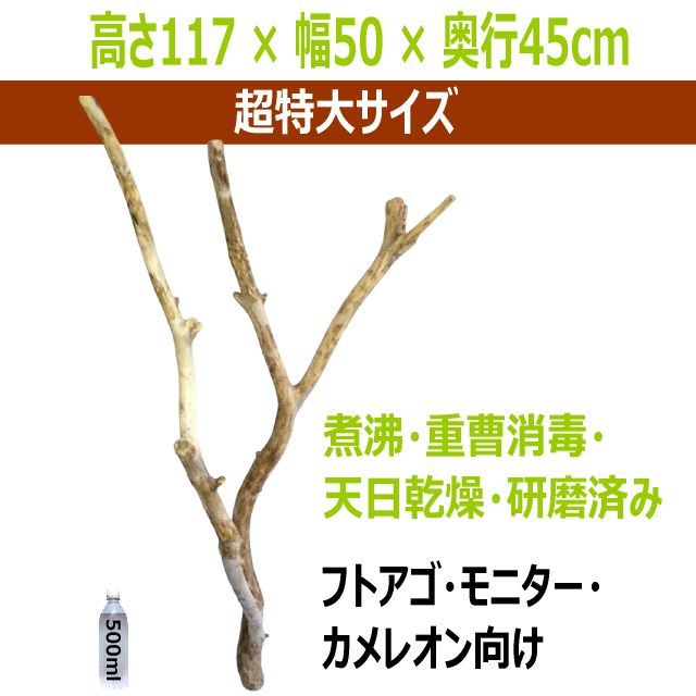 特大流木 高さ117cm × 幅50cm × 奥行45cm【超特大サイズ・特殊形状】天然