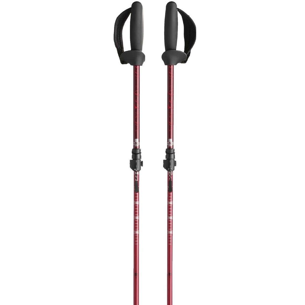 2本1組 SH C3JTP110 MIZUNO ミズノ 折りたたみ式ウォーキング用ポール