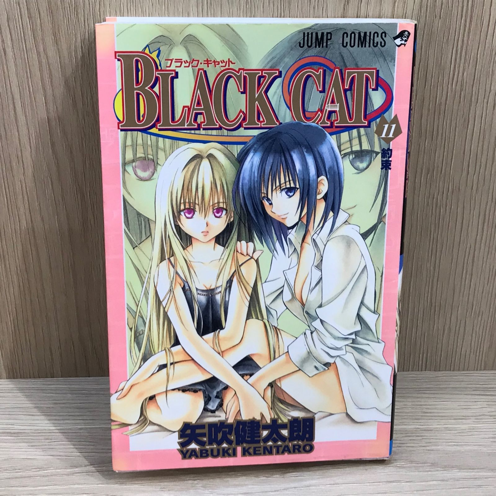 初版】BLACK CAT 11巻/【作者】矢吹健太郎/GF-0225037426-YP/GF11911