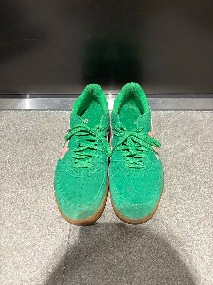 Asics アシックス スカイハンド バックカントリー 290