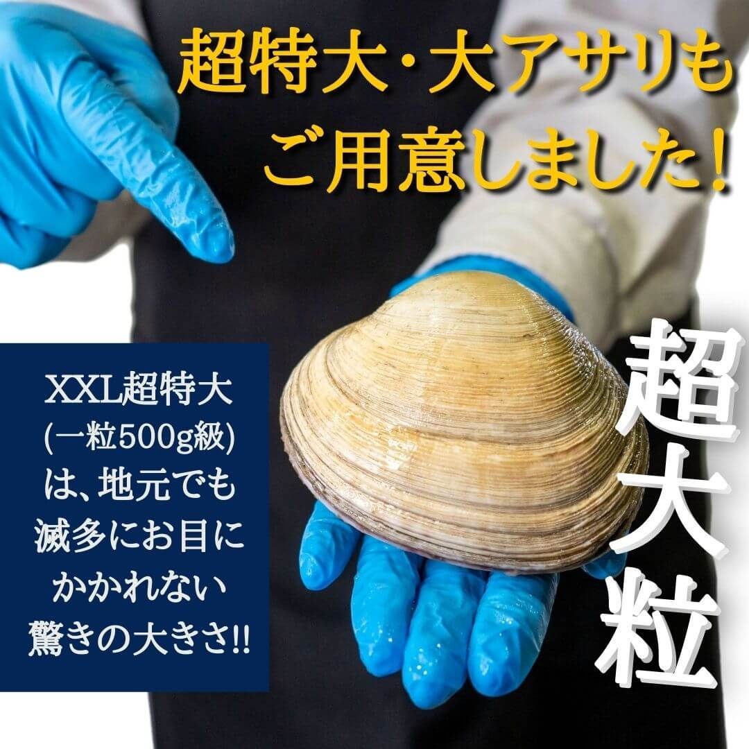 天然大アサリ1kg＋専用だし醤油　メルカリ　国産(愛知三河湾)　CAS冷凍で鮮度抜群！