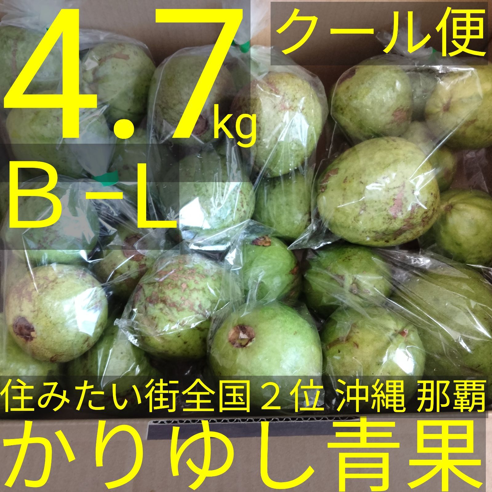 10％off〉【業務用】沖縄県産 グァバ（白サラダ）B品 Lサイズ 約4.7kg