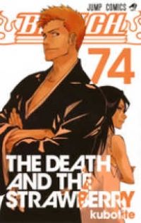 BLEACH－ブリーチ－（全74巻セット・完結）久保帯人 bleach 表紙