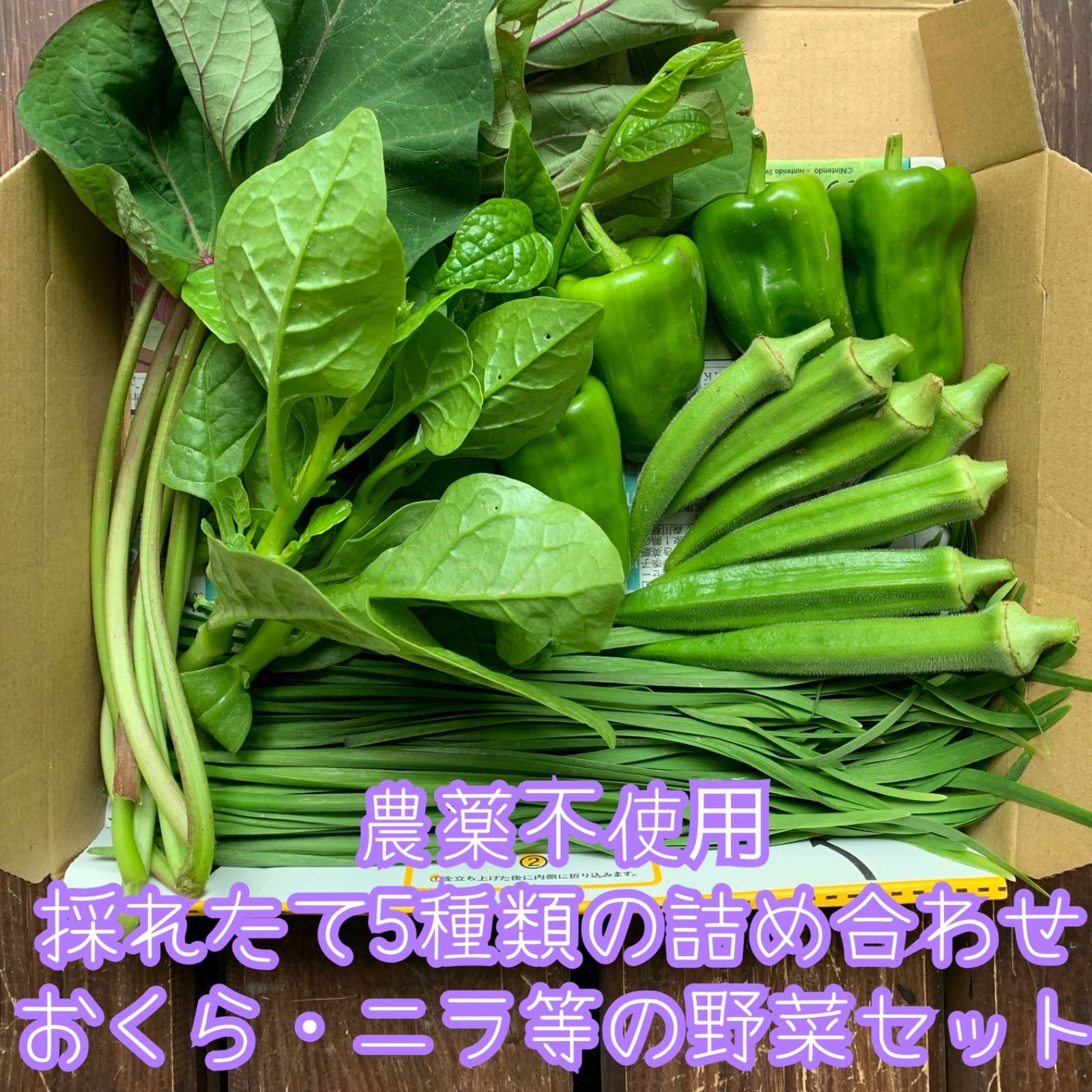 【開店記念セール！】 サラダほうれん草ネコポス regio-food.pl