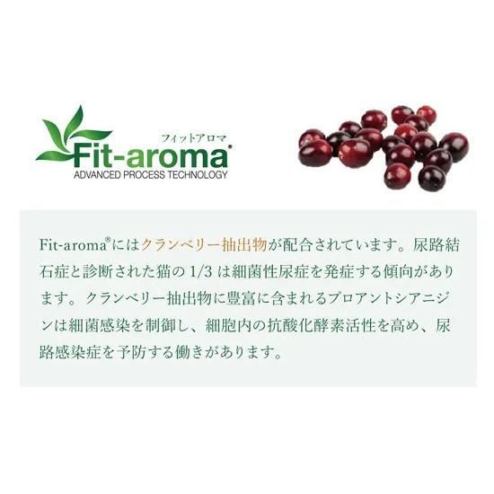 キャットフード 猫 Monge VetSolution 尿中ストルバイトサポート 400g