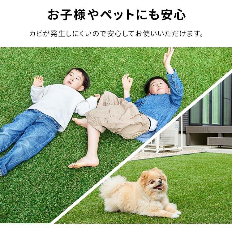 ロール 1m×10m
