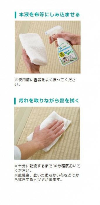 汚れ落とし ツヤ出し 抗カビ効果 忌避効果 畳クリーナー＆ワックス 4L 23020081 SKLAD-KIRPICHA_RU