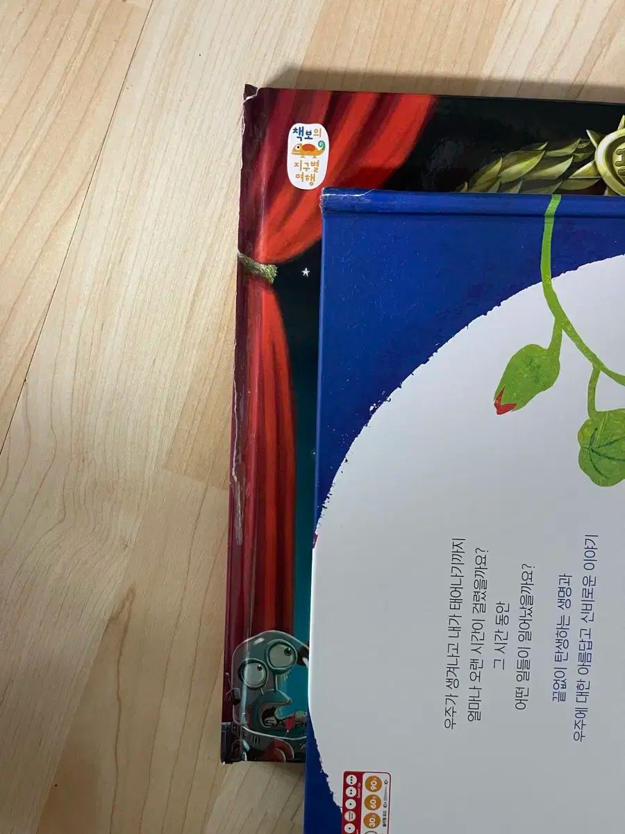 アース