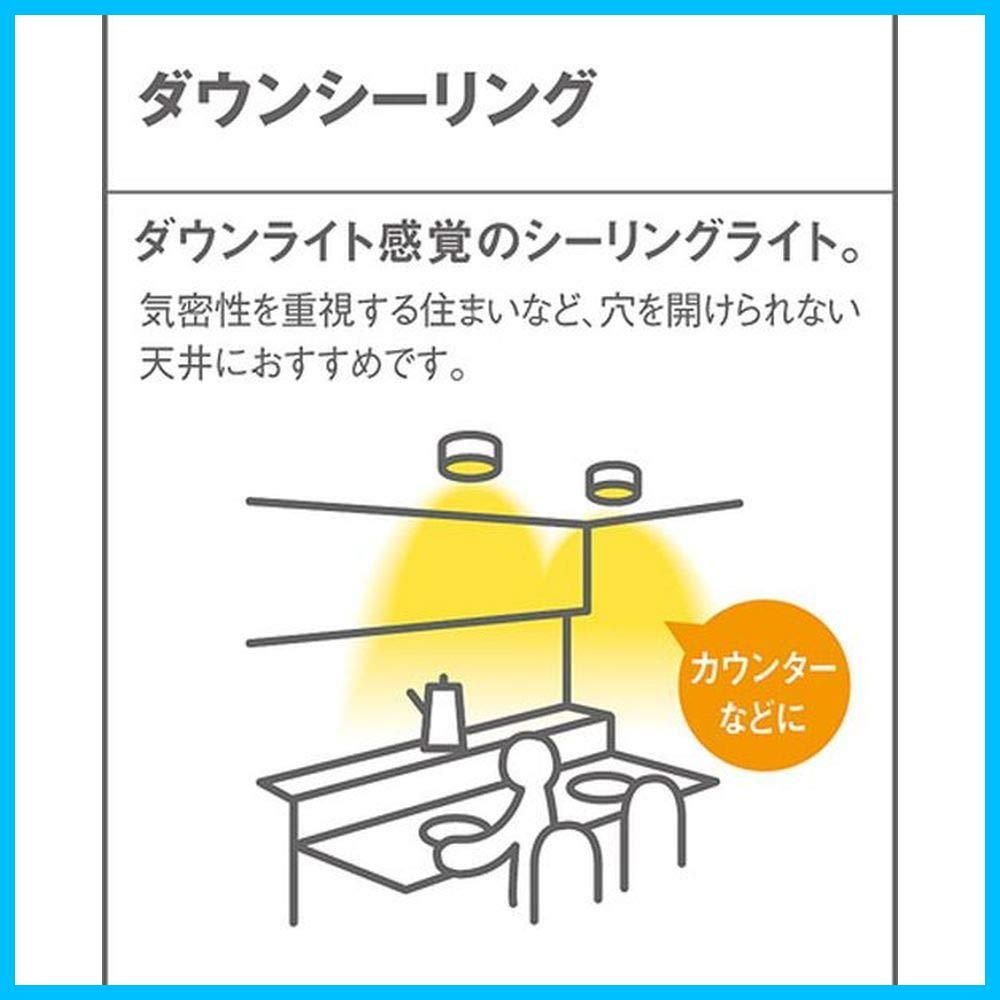 本体