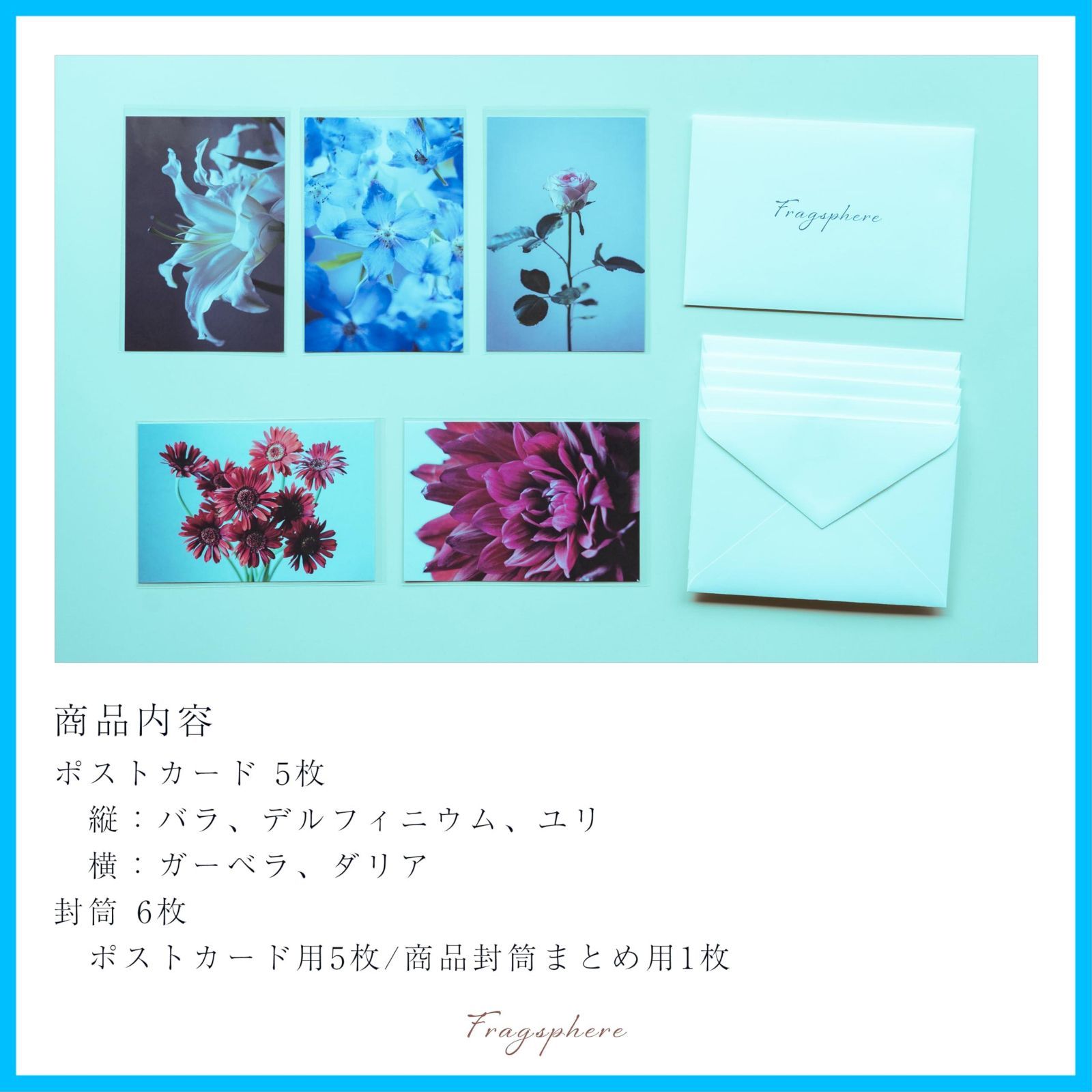 5種類 封筒付き