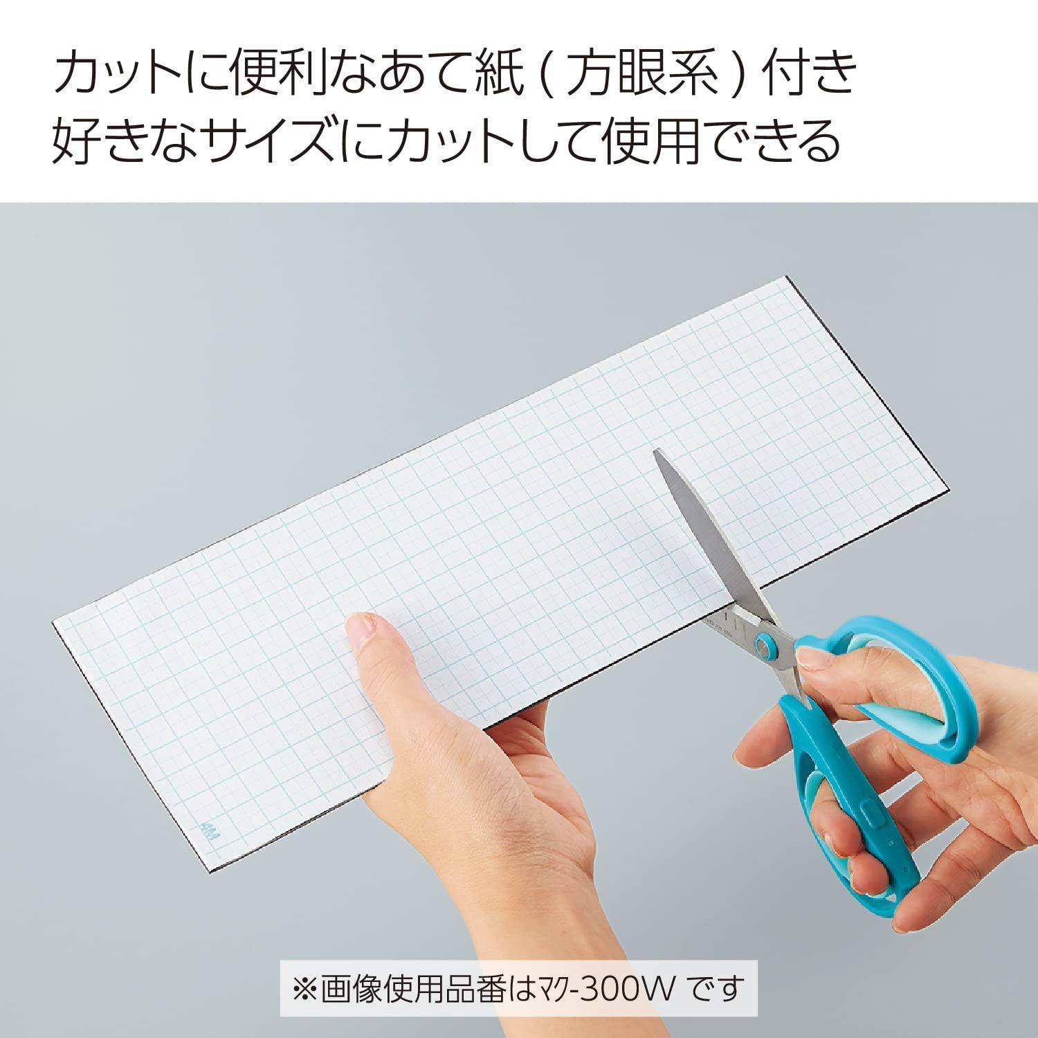 マク-301W