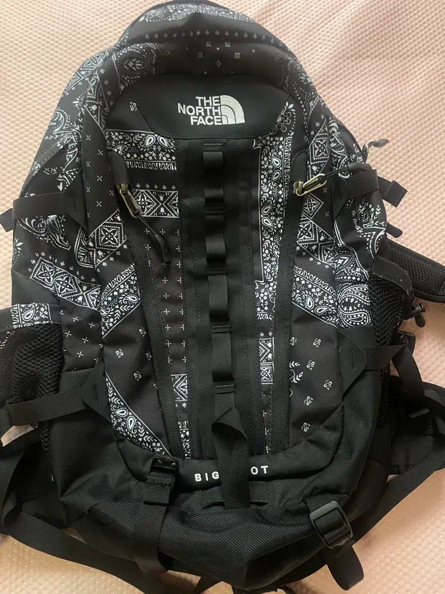 THE NORTH FACE ザ ノース フェイス ビッグショット バンダナ エコー バックパック