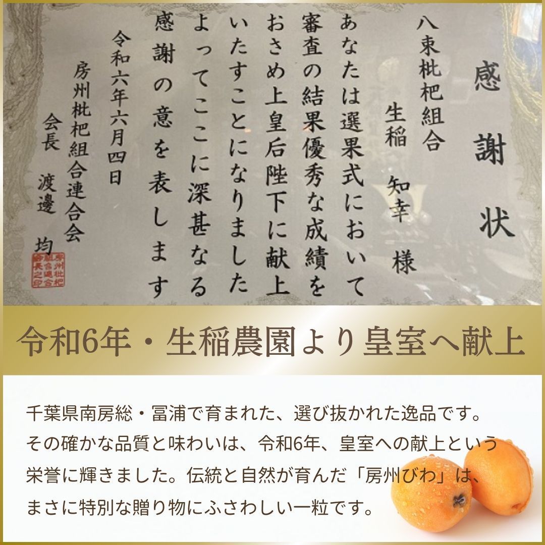 サイズ色々 枇杷