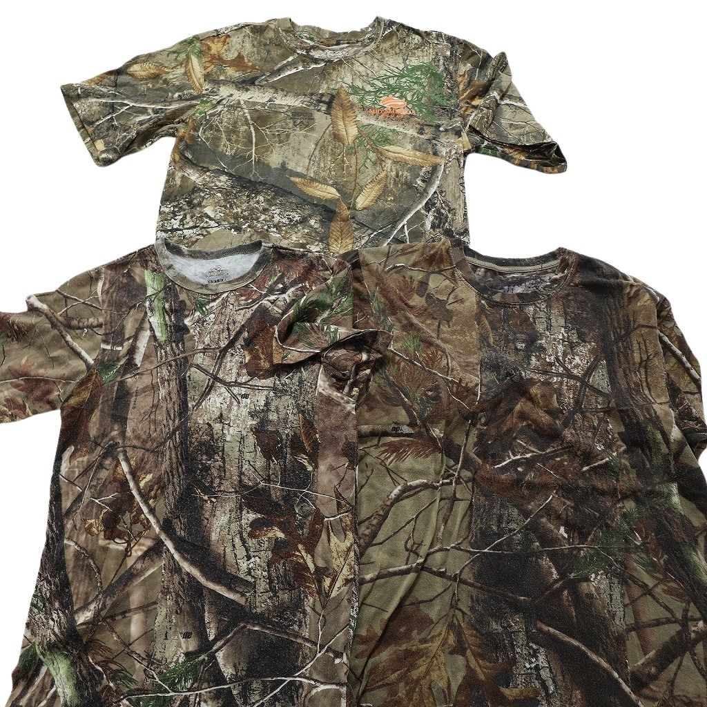 B*e様 A122 特選 アガベチタノタ 狼人 強棘狂棘 極上良型株 Yahoo