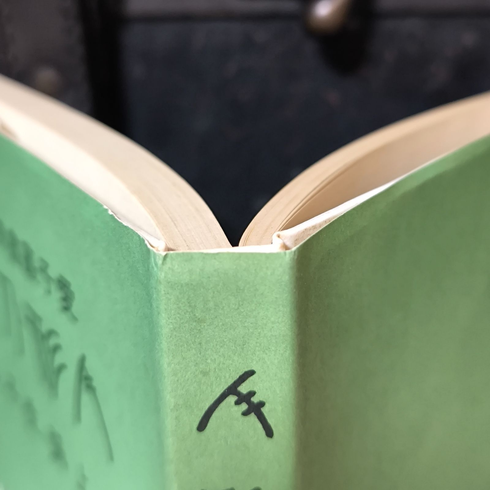 古本】人形乃望 人形の望 野上弥生子 愛子叢書 昭和52年【復刻版