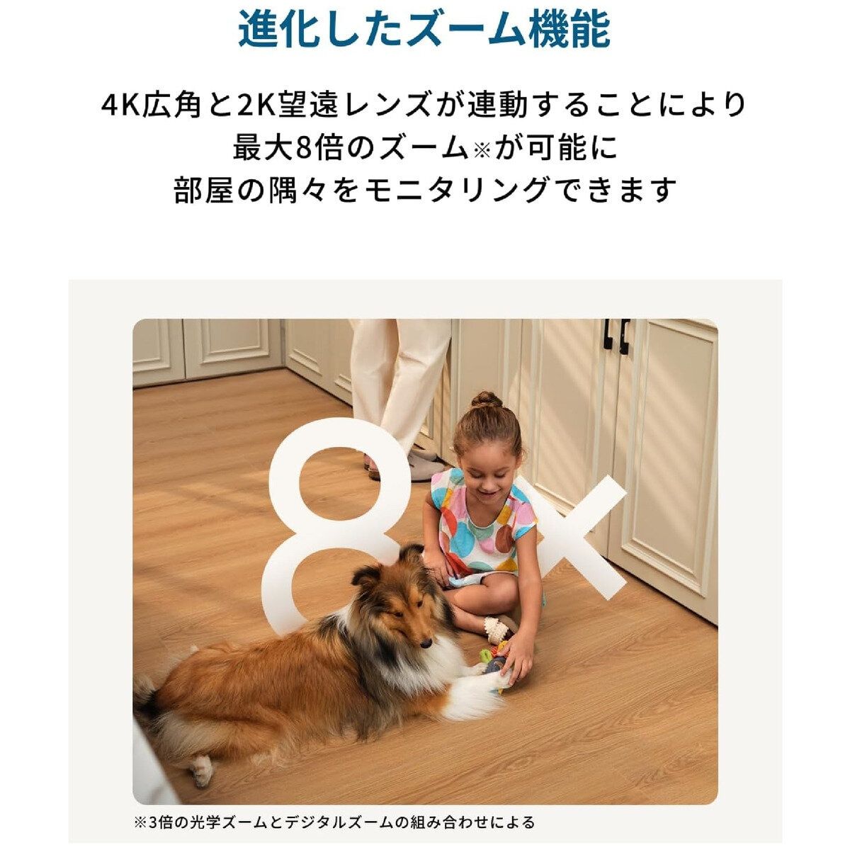 インドアカメラ