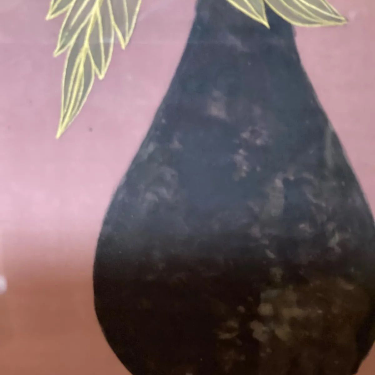 真作石谷雅詩作 フウセンカズラ 日本画3号 - メルカリ