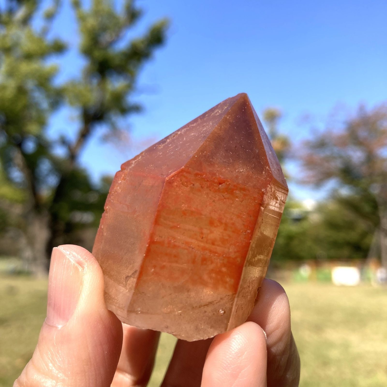 ブラジル・クリスタリナ産 レッドドリームコート レムリアン水晶