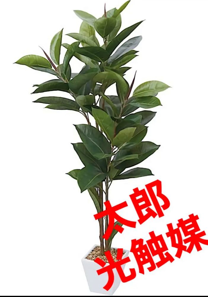 光触媒 人工観葉植物 ウォールグリーン フェイクグリーン フラワー ゴムノキ