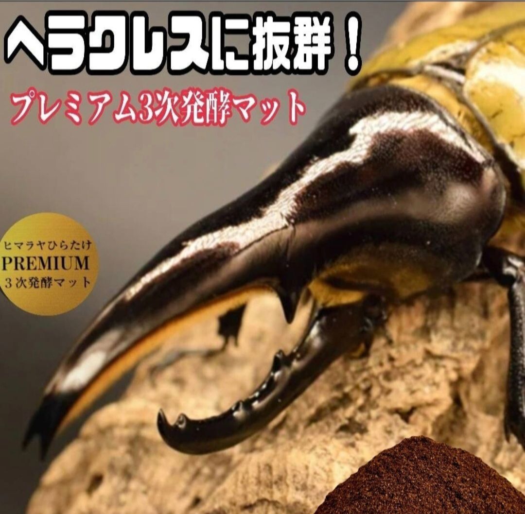 カブトムシ幼虫を入れるだけ！プレミアム3次発酵マット入り　20リットルBOX カブトムシ幼虫を入れるだけ便利です！プレミアム3次発酵マット
