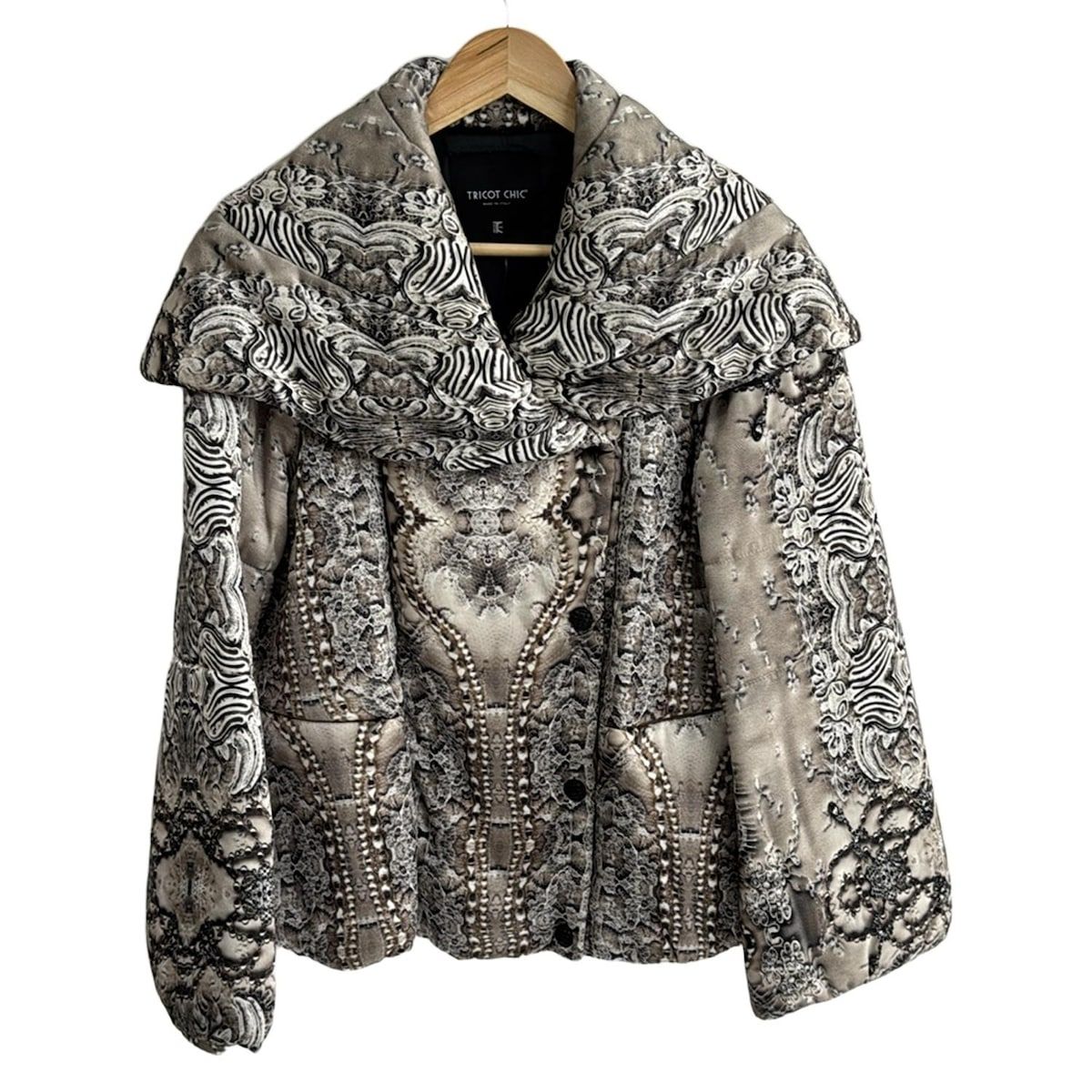 ⑥マユハケオモト ピンク 2球 球根大 マユハケオモト