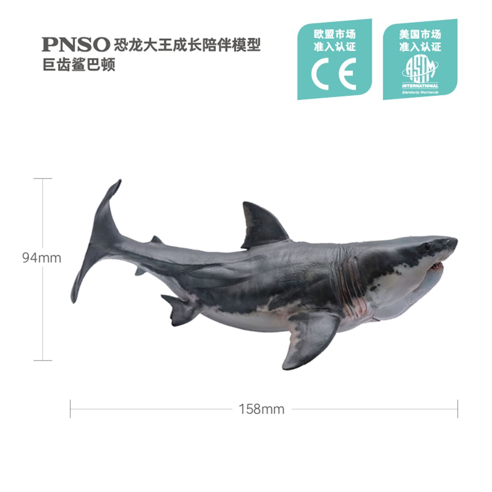 PNSO メガロドン ホホジロザメ パットン サメ 海洋動物 生物