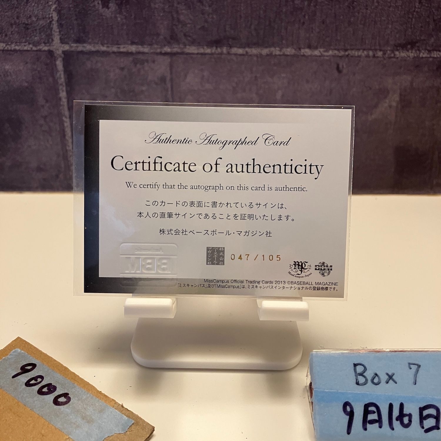 MissCampus 内田有紗