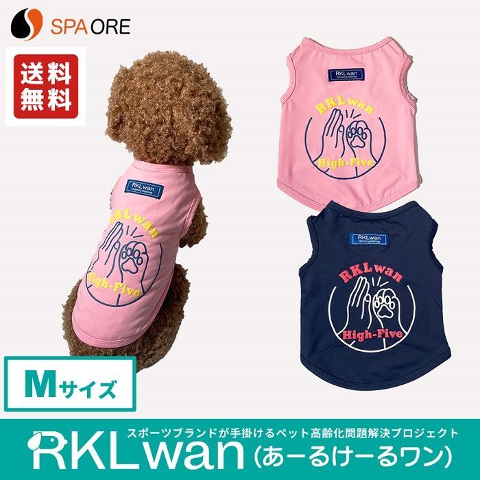 鉄道部品レバーハンドと鍵セット