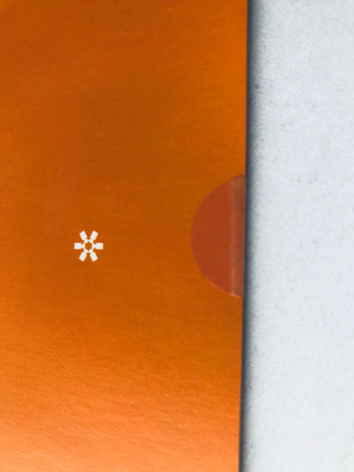 根本はるみDVD 2タイトルセット　家族プレイ　ヤングアニマル 2025年最新】Yahoo!オークション -根本はるみ ヤングアニマルの中古品