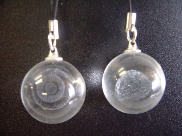 ♯Iri06BE人体標本サイエンスクリスタル全8種