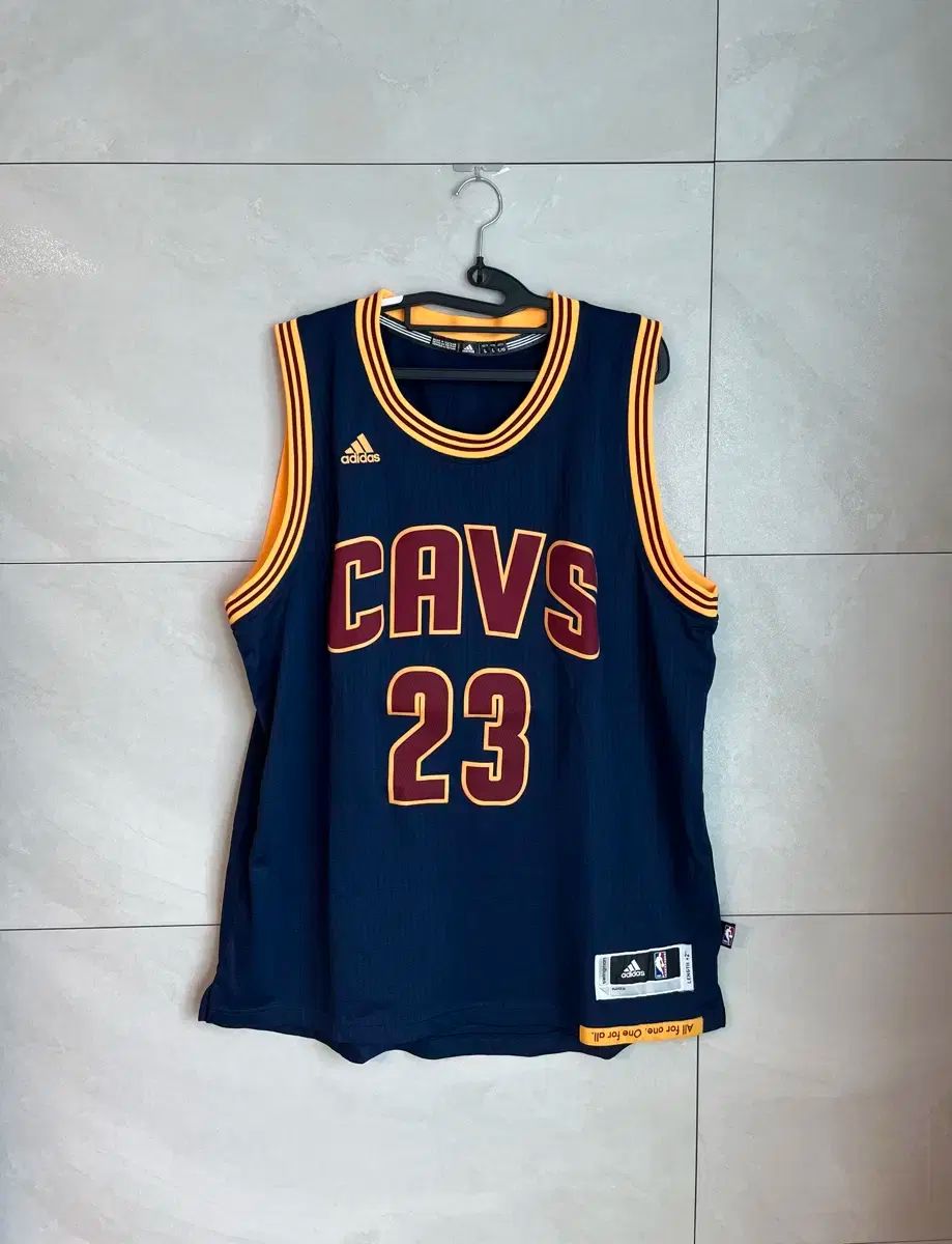 NBA レブロン ジェームス クリーブランド Swingman（スウィングマン