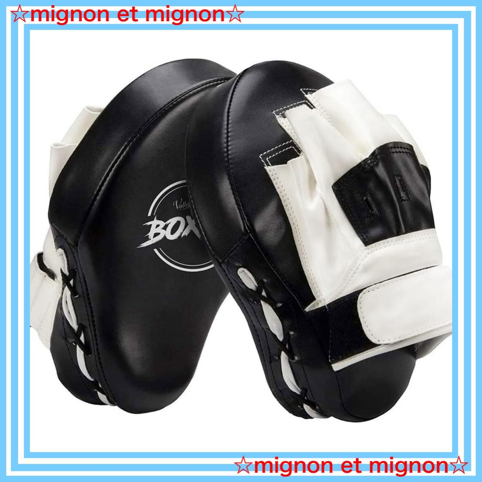フェアテックス フォーカスミット Fairtex ミット