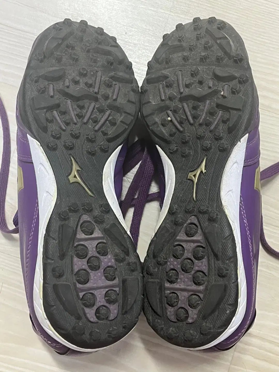 イグニタス mizuno