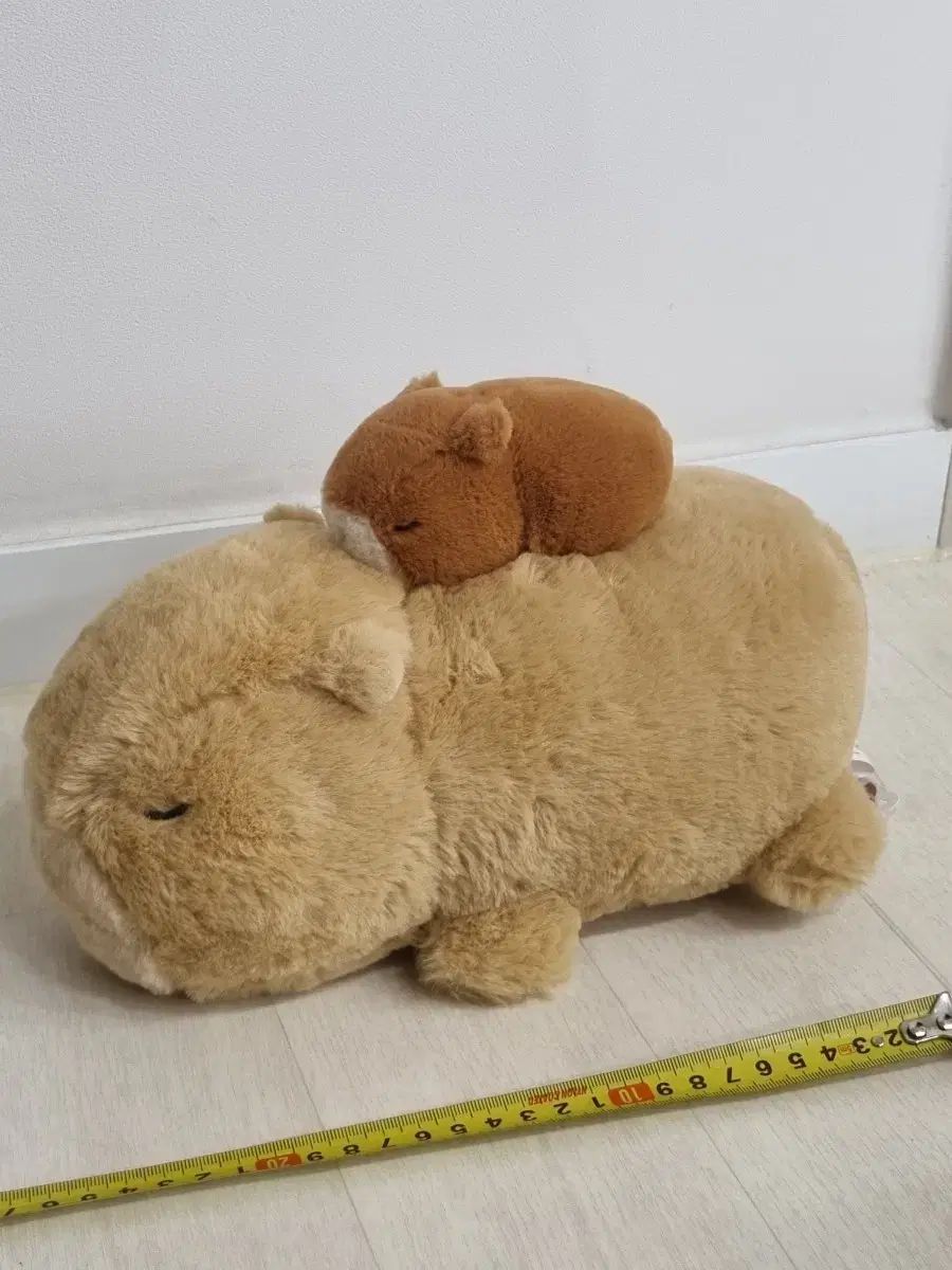 カピバラ 人形 25cm
