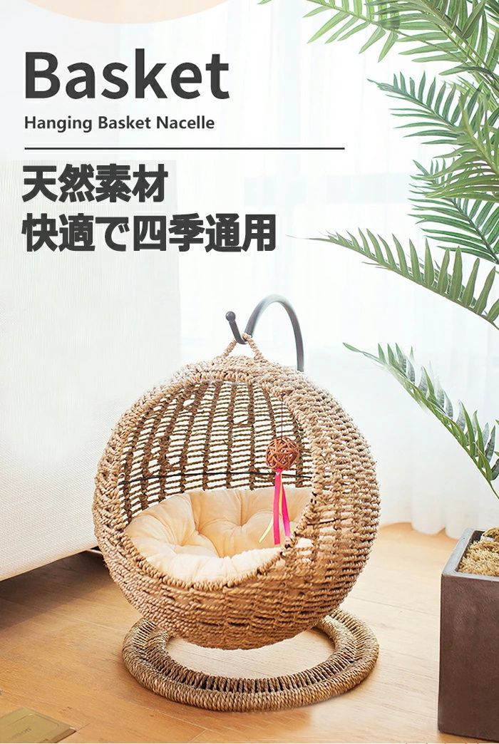 小型犬|猫 キャット
