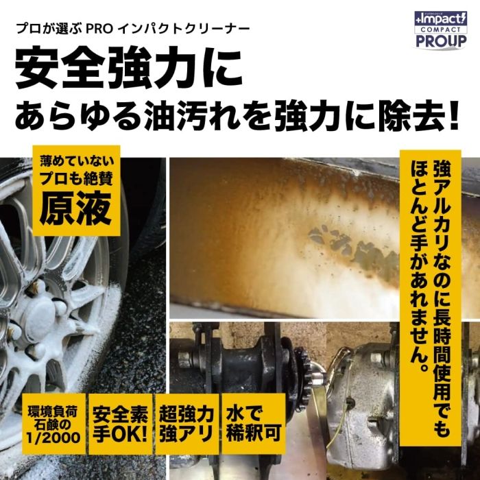 INPACT01008 1890