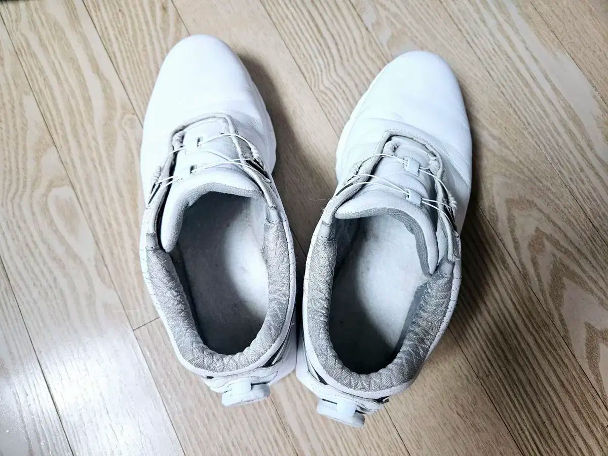 フットジョイゴルフシューズ PRO