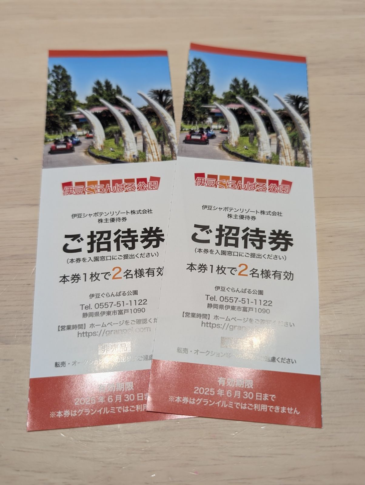 伊豆シャボテン公園 3公園共通入園ご招待券 ペア2名分 D 伊豆シャボテン公園 3公園共通入園ご招待券 ペア2名分 D