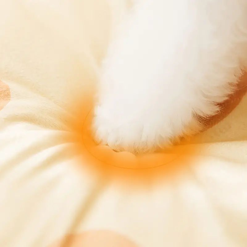 冬